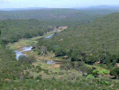 0780_luvuvu_northwest