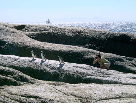 1005_gretchenpenguins