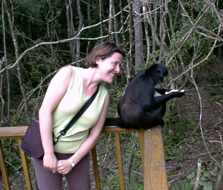 1172_gretchspidermonkey