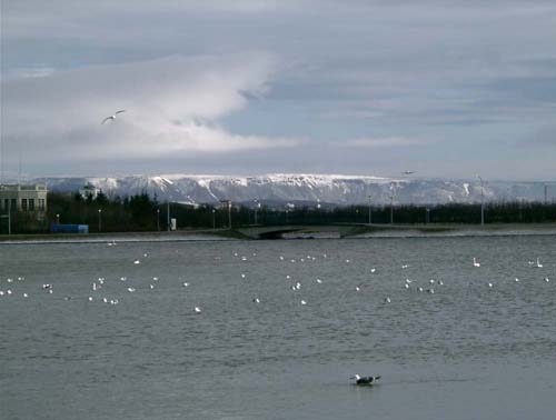 133_tjornin_looking_south